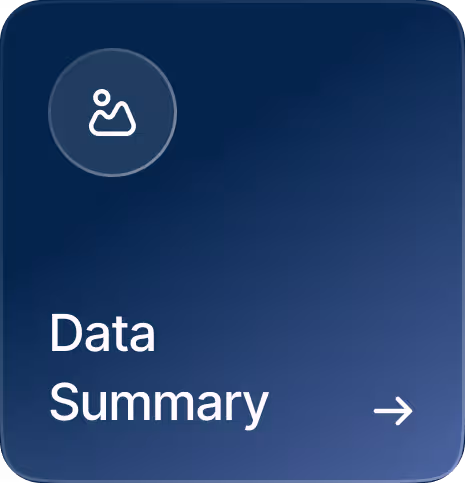 Data Summary Phiro AI